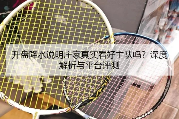 升盘降水说明庄家真实看好主队吗？深度解析与平台评测